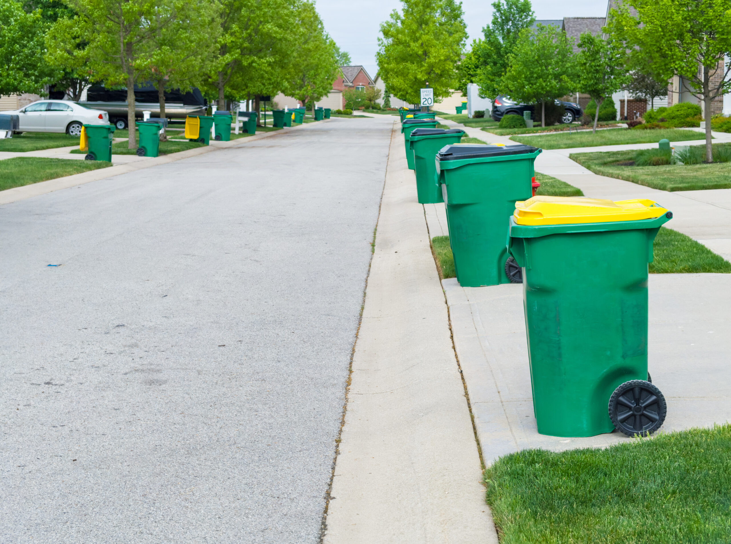 Row of garbage bins lined up along the roadside