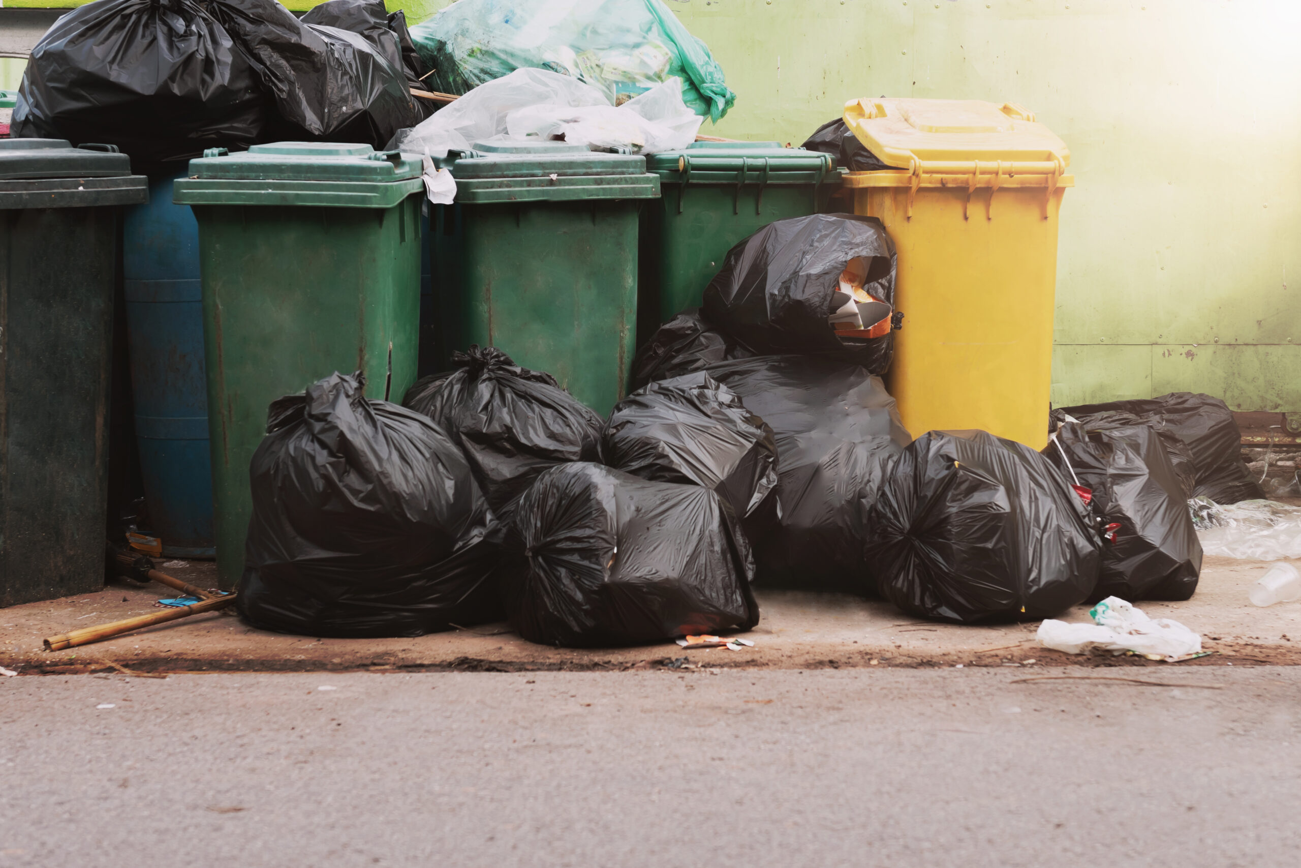 The Importance of Regular Garbage Can Cleaning for Public Health