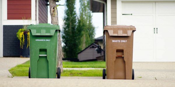 Professional Trash Bin Cleaning Service Bins on sidewalk