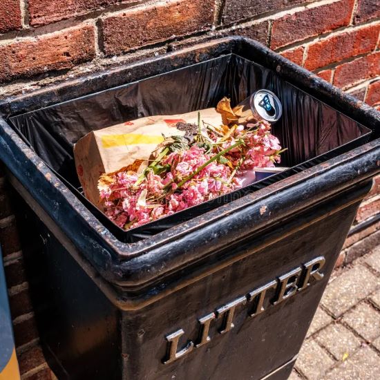 Best Trash Can Cleaning Services Full Trash Bin