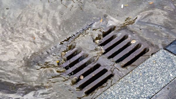 Waste water in a storm drain by Professional Bin Cleaning Company