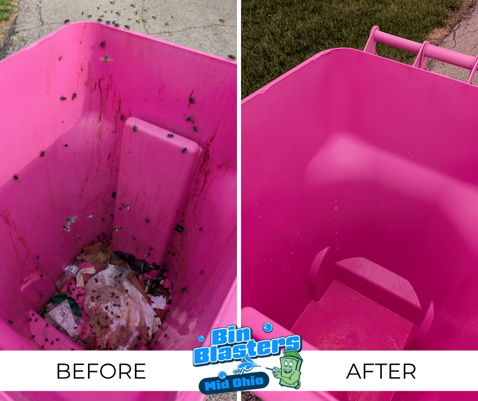 Before / After Trash Can